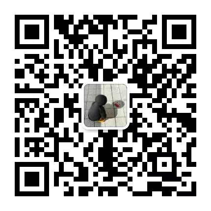客服微信2